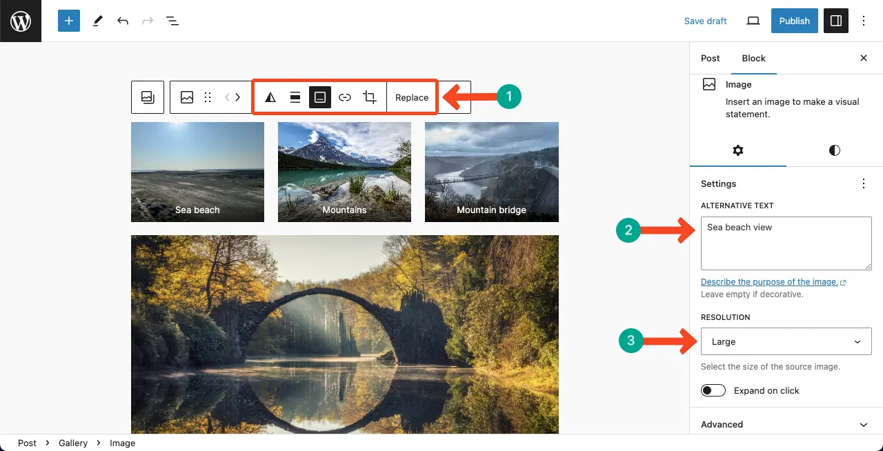 Customize the Gallery Images on the Gutenberg Editor
